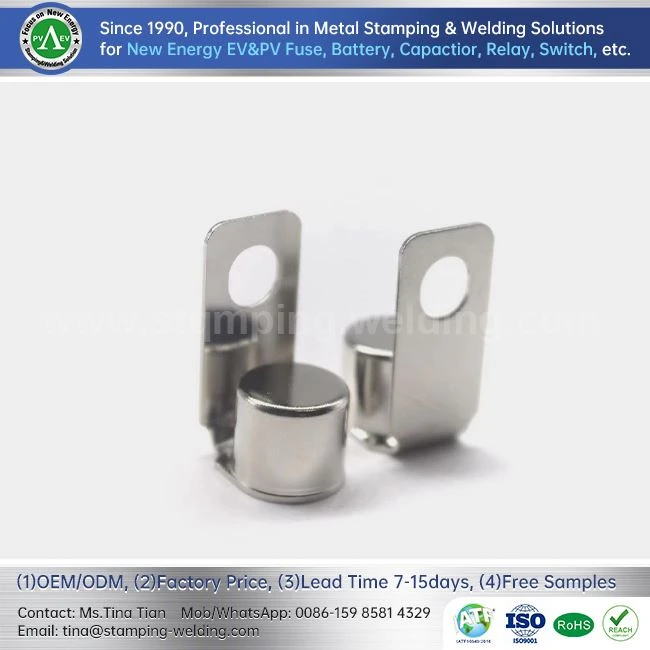 Integrated End Caps For Electrical Fuse